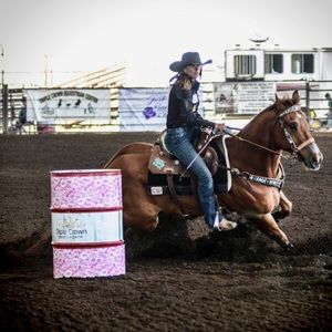 Meet your Posher, Casey